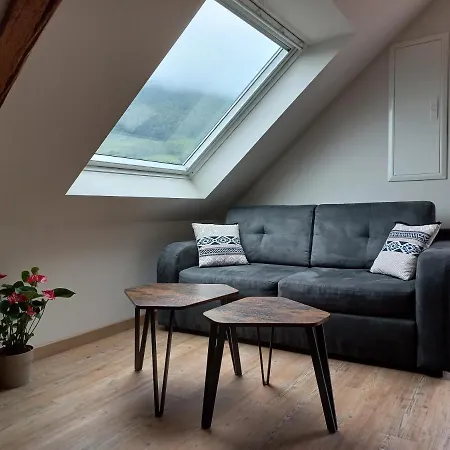 Entierement Renove Au Coeur Du Val D'azun Nyaraló